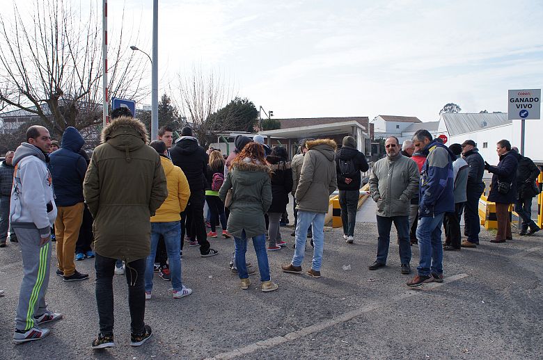 2016 03 17 FolgaServicarneFrigolouro07.JPG